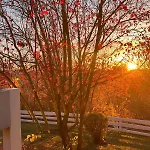 Casa de Férias Haus Paradies *
