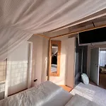 Haus Paradies * Erfurt