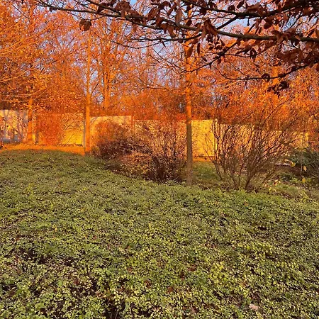 Haus Paradies