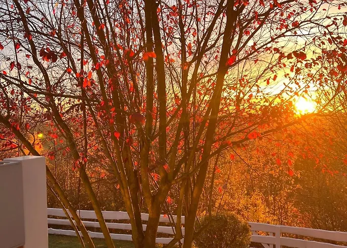 Villa Haus Paradies *